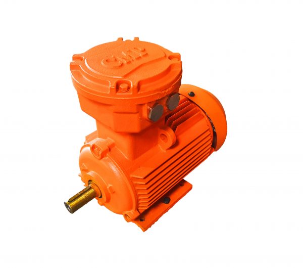 Explosion Proof Motor