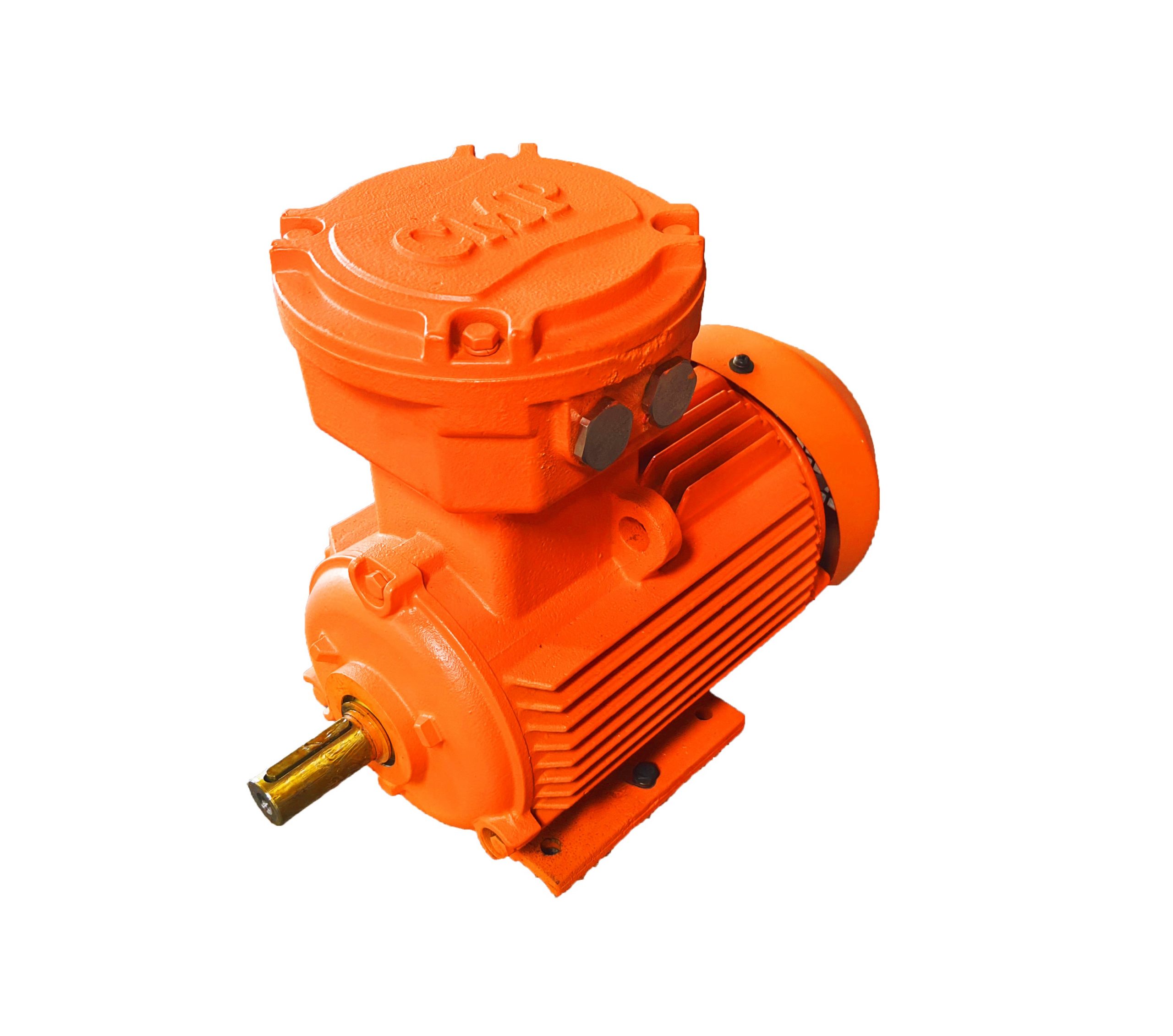 Explosion Proof Motor
